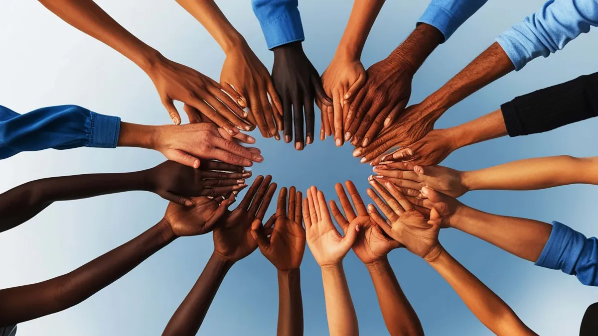 Colaboración